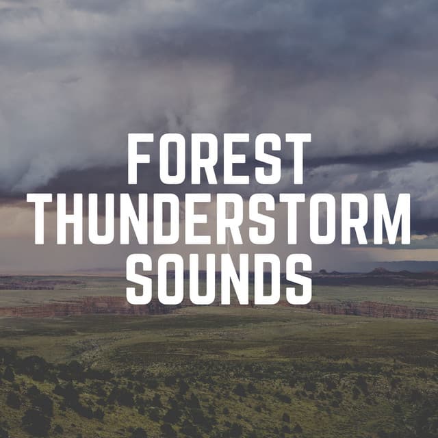 Forest Thunderstorm Sounds - Thunder Storms & Rain Sounds
