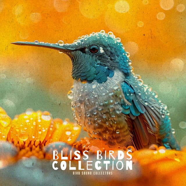 Bliss Birds Collection - Bird Sound Collectors