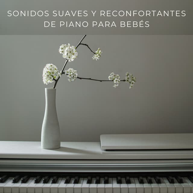 Sonidos Suaves Y Reconfortantes De Piano Para Bebés - Proyecto de piano