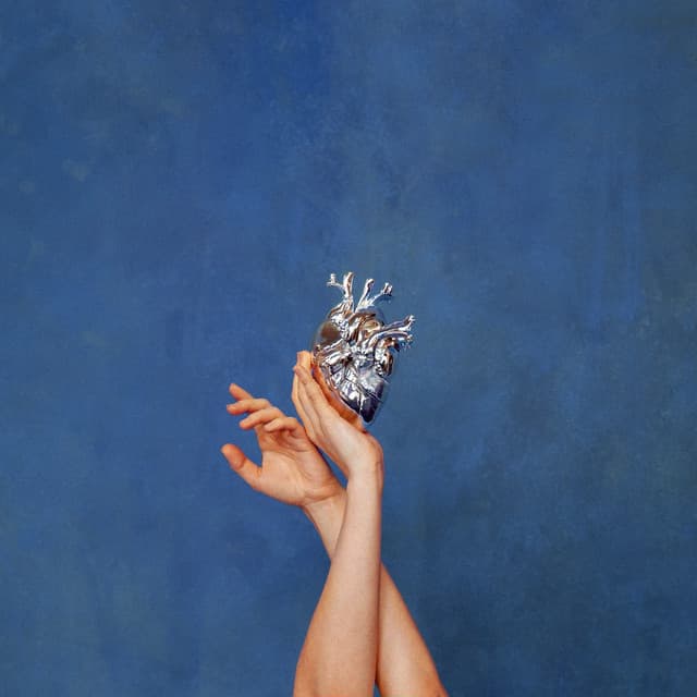 What Happened To The Heart? - AURORA