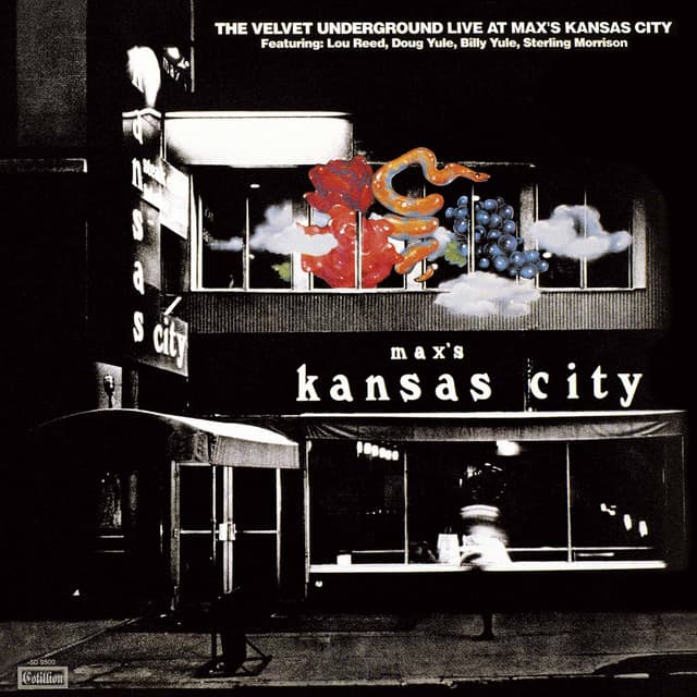 Live at Max's Kansas City - The Velvet Underground