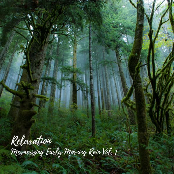 Relaxation: Mesmerizing Early Morning Rain Vol. 1 - Sounds of Nature Noise