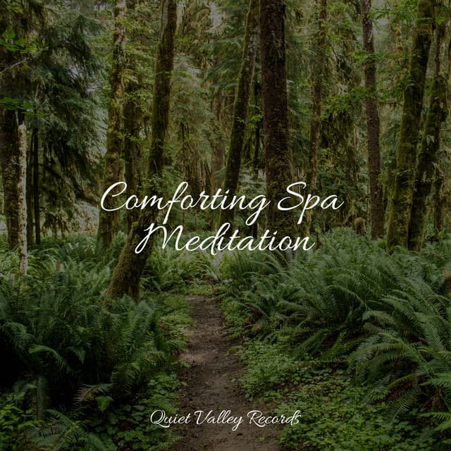 Comforting Spa Meditation - Studying Music