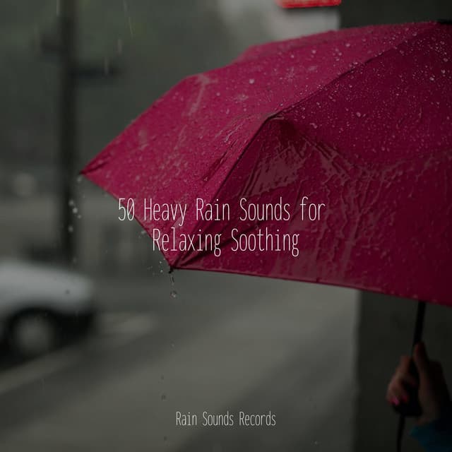 50 Heavy Rain Sounds for Relaxing Soothing - Relaxed Minds