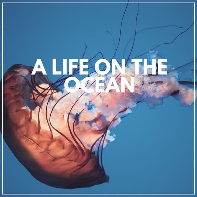 A Life on the Ocean - Natural Sounds