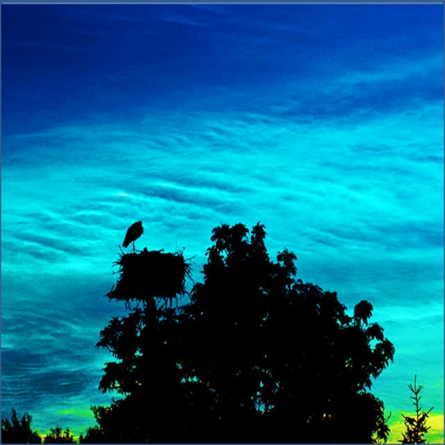 White Noise, Brown Noise, Appliances, Water and other Audio - Outside Recordingsfor Rest