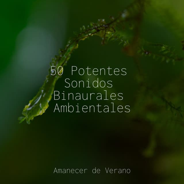 50 Potentes Sonidos Binaurales Ambientales - Calming Sounds