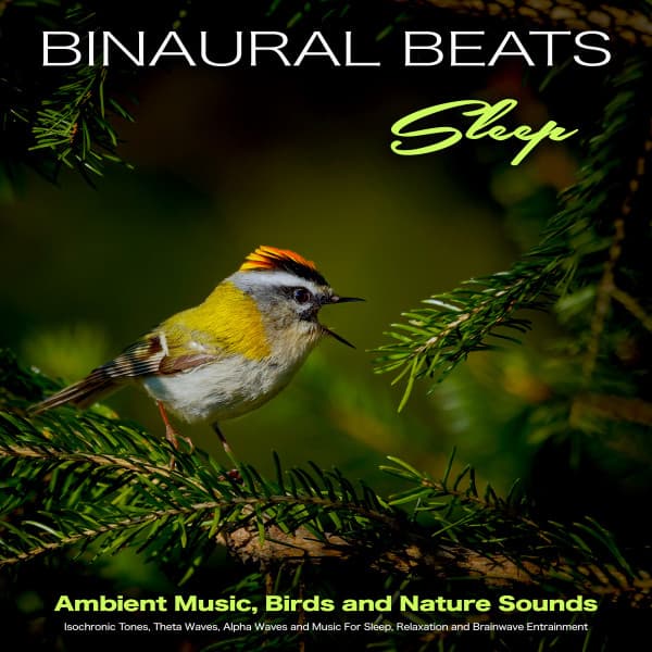 Binaural Beats Sleep - Ambient Music, Birds and Nature Sounds - Isochronic Tones, Theta Waves, Alpha Waves and Music For Sleep, Relaxation and Brainwave Entrainment - Binaural Beats Sleep