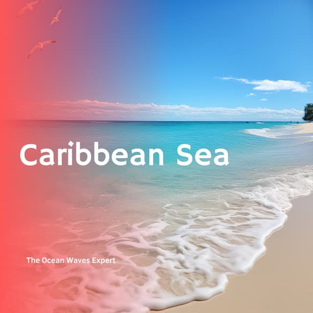 Caribbean Sea: Ocean Waves - The Ocean Waves Expert