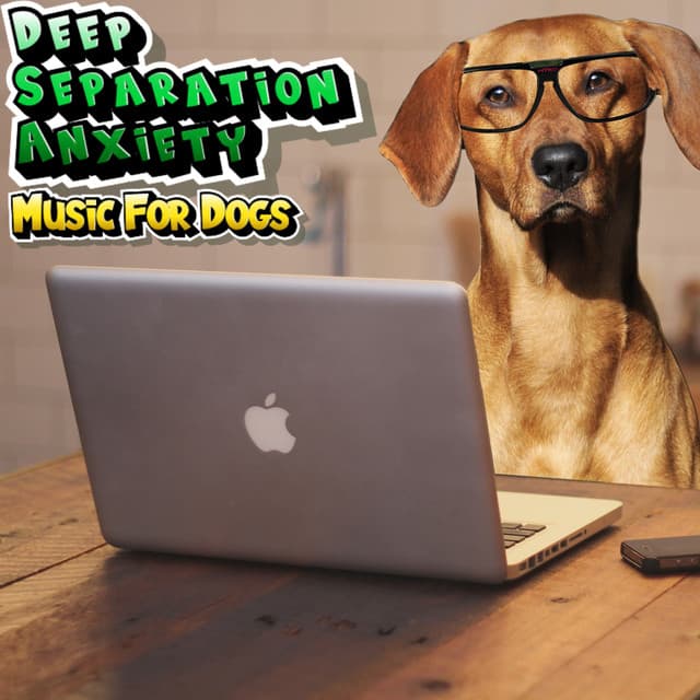 Relaxing Sleep Music For Dogs - Deep Separation Anxiety Music For Dogs