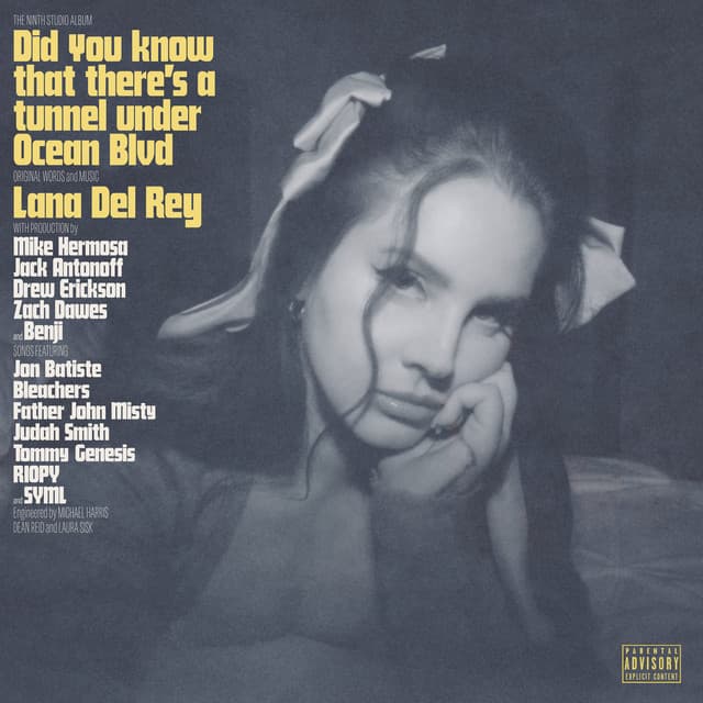 Did you know that there's a tunnel under Ocean Blvd - Lana Del Rey