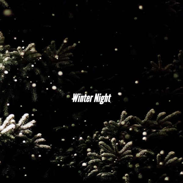 Winter Night - Latin Jazz Vibes