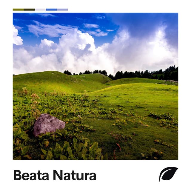 Beata Natura - Suoni Naturali