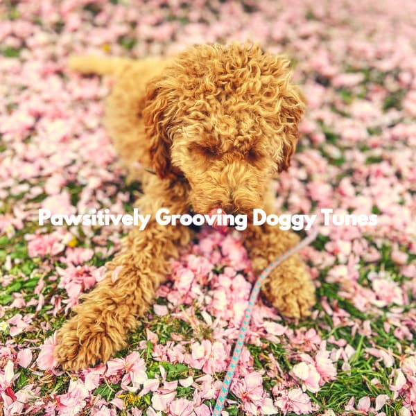 Pawsitively Grooving Doggy Tunes - Music for Leaving Dogs Home Alone