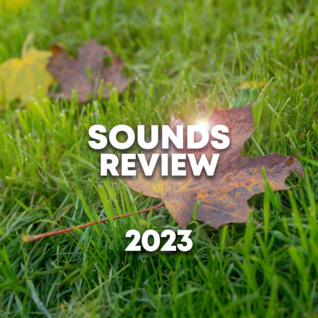 Sounds Review 2023 - Rainforest Sounds