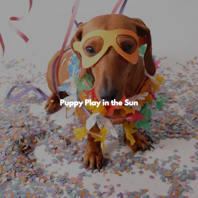 Puppy Play in the Sun - Abendessen Jazz Klassiker
