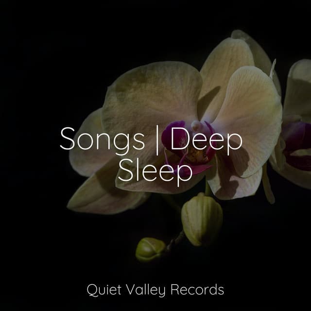 Songs | Deep Sleep - Winds and Oceans