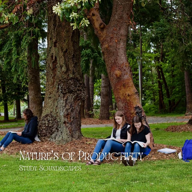 Nature's of Productivity: Study Soundscapes - World Recorders