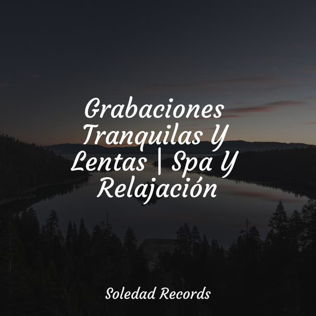 Grabaciones Tranquilas Y Lentas | Spa Y Relajación - Relajar