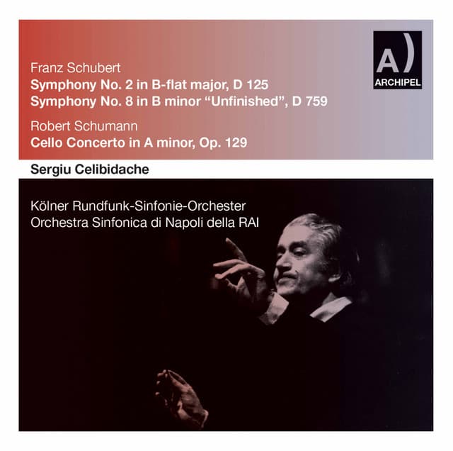 Schubert & R. Schumann: Orchestral Works - Sergiu Celibidache