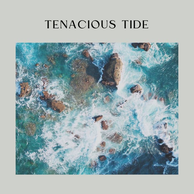 Tenacious Tide - Beach Sounds