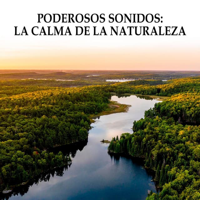 Poderosos Sonidos: La Calma De La Naturaleza - Concentracíon