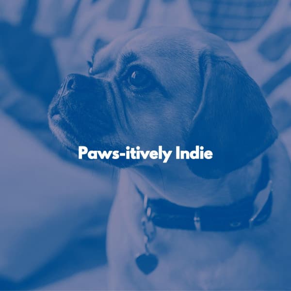 Paws-itively Indie - Chill Playlist