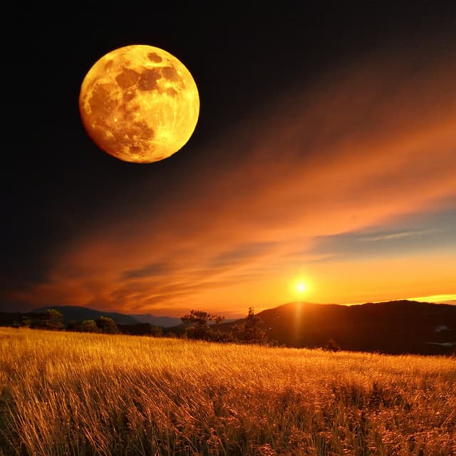 Relajación para el alma en reposo