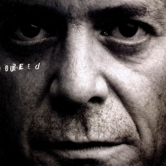 Perfect Night Live in London - Lou Reed