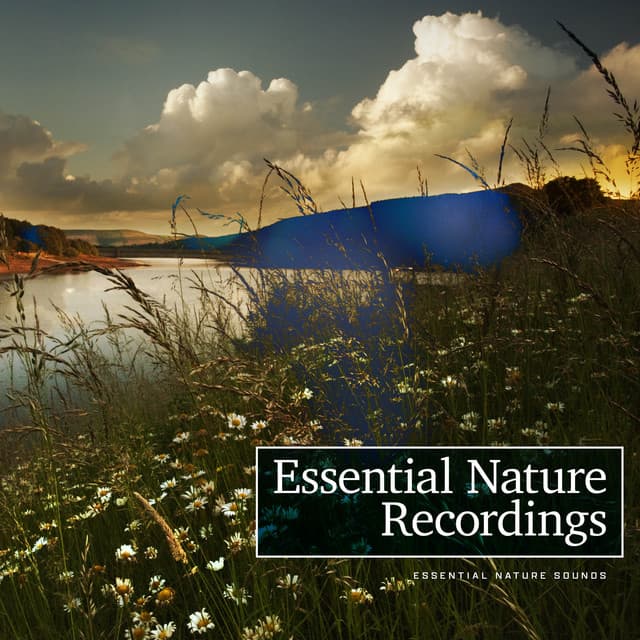 Essential Nature Recordings - Essential Nature Sounds