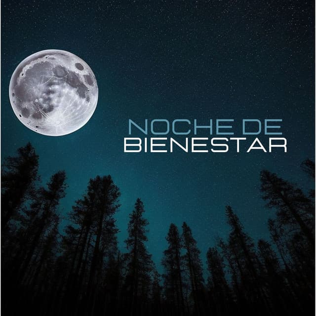 Noche de Bienestar: Vibraciones Curativas y Frecuencias Positiva para Dormir Mejor - Sueño Real