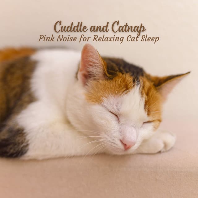 Cuddle and Catnap: Pink Noise for Relaxing Cat Sleep - Pink Noise for Sleep