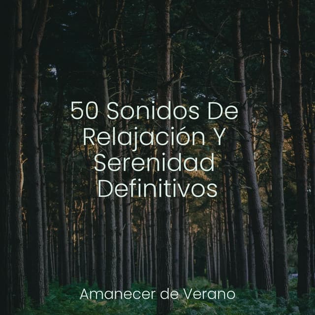50 Sonidos De Relajación Y Serenidad Definitivos - Meditation