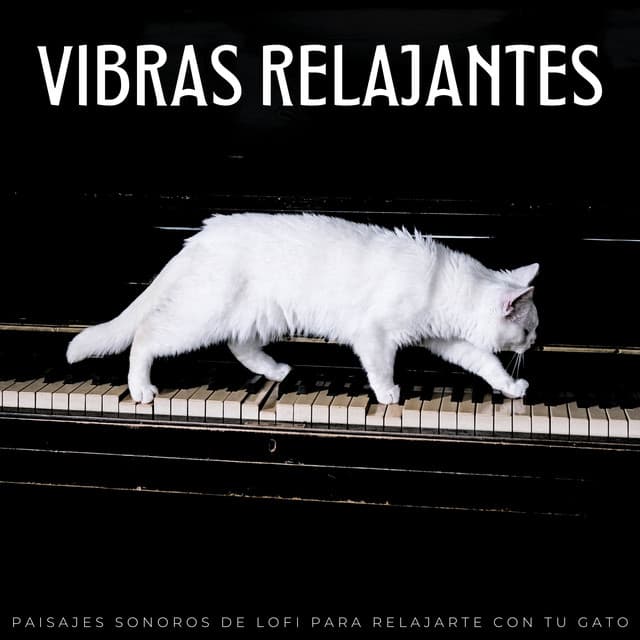 Vibras Relajantes: Paisajes Sonoros De Lofi Para Relajarte Con Tu Gato - Vibraciones lofi