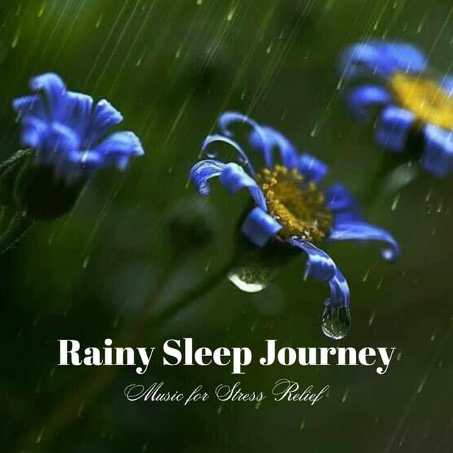 Rainy Sleep Journey: Music for Stress Relief - Stormie