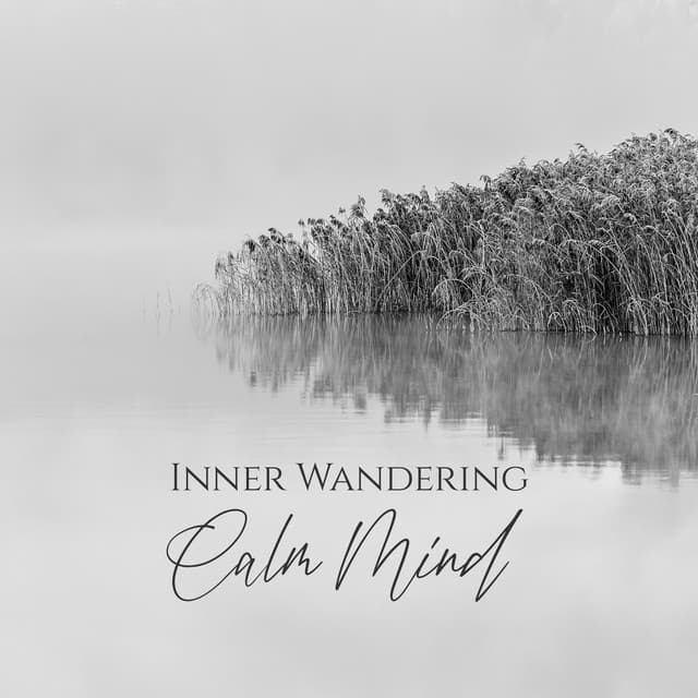 Inner Wandering, Calm Mind - Relieving Stress Music Collection