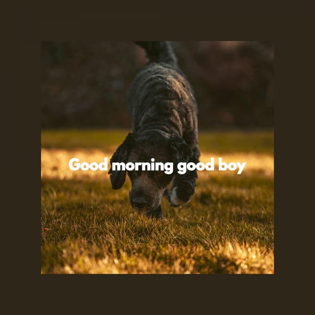 Good morning good boy - Music for Dog's Ears