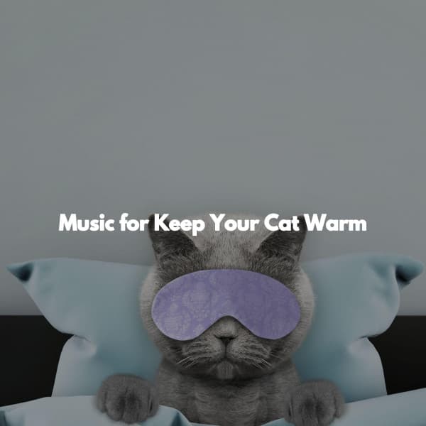 Music for Keep Your Cat Warm - Chill Cafe Songs