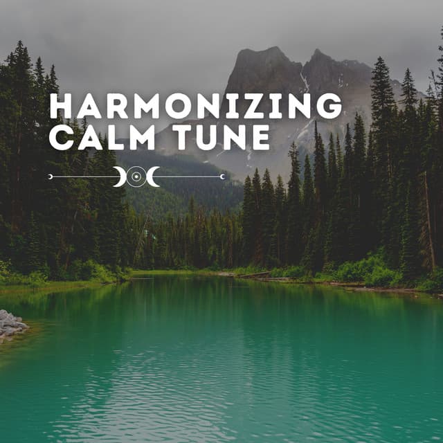 Harmonizing Calm Tune - Background Music Specialists