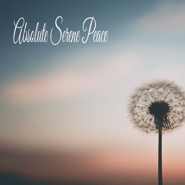 Absolute Serene Peace - Música Relajante