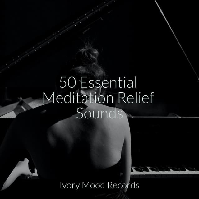 50 Essential Meditation Relief Sounds - Chakra Balancing Sound Therapy