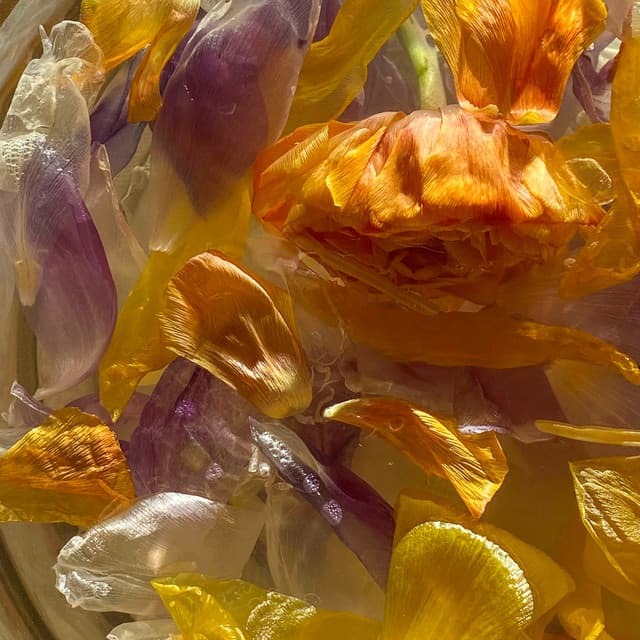 1 Chakra Found: Locating Your Center - Spa Music Relaxation