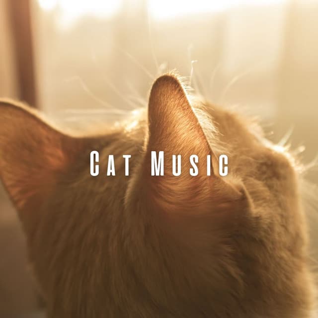 Cat Music: Harmonious Tunes for Dreamy Cats - Relaxing Music for Cats