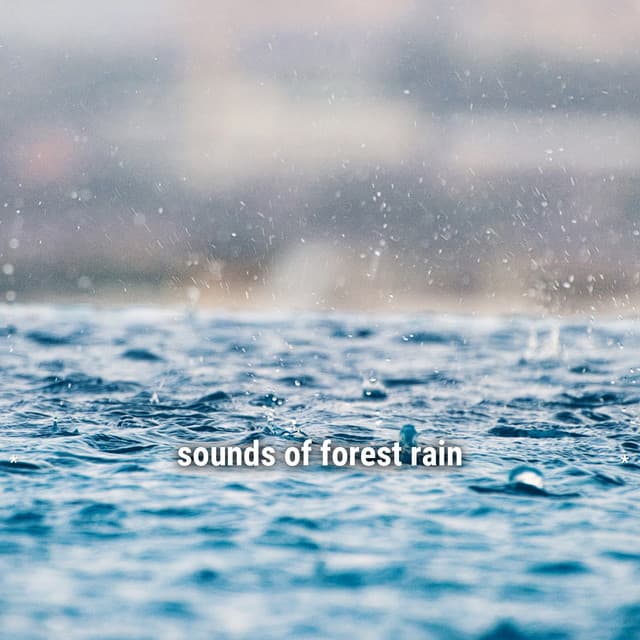 * sounds of forest rain * - Ambient Rain