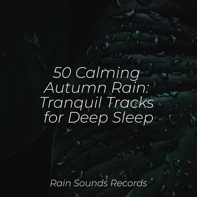 50 Calming Autumn Rain: Tranquil Tracks for Deep Sleep - Nature Sounds
