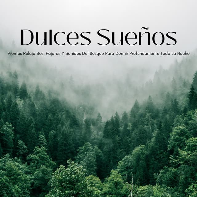 Dulces Sueños: Vientos Relajantes, Pájaros Y Sonidos Del Bosque Para Dormir Profundamente Toda La Noche - NatuREM