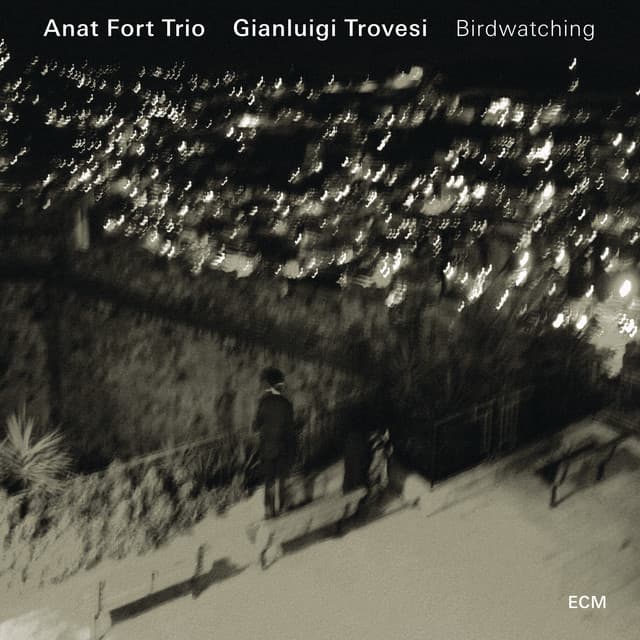 Birdwatching - Anat Fort Trio