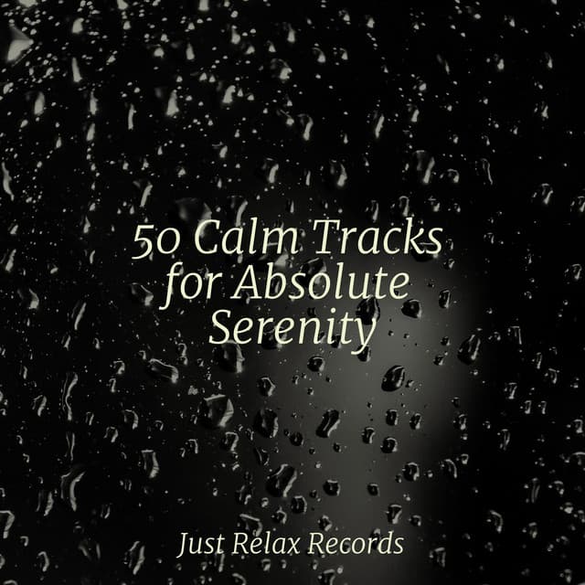 50 Calm Tracks for Absolute Serenity - Bird Sounds