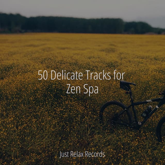 50 Delicate Tracks for Zen Spa - Musica Romantica Ensemble