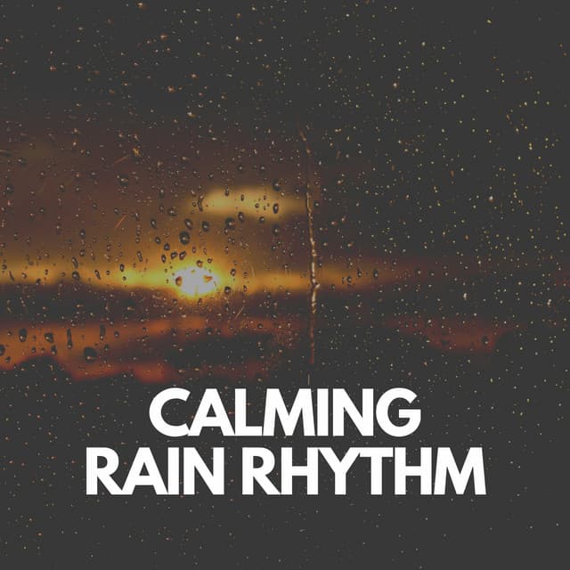 Calming Rain Rhythm - Sounds of Rain